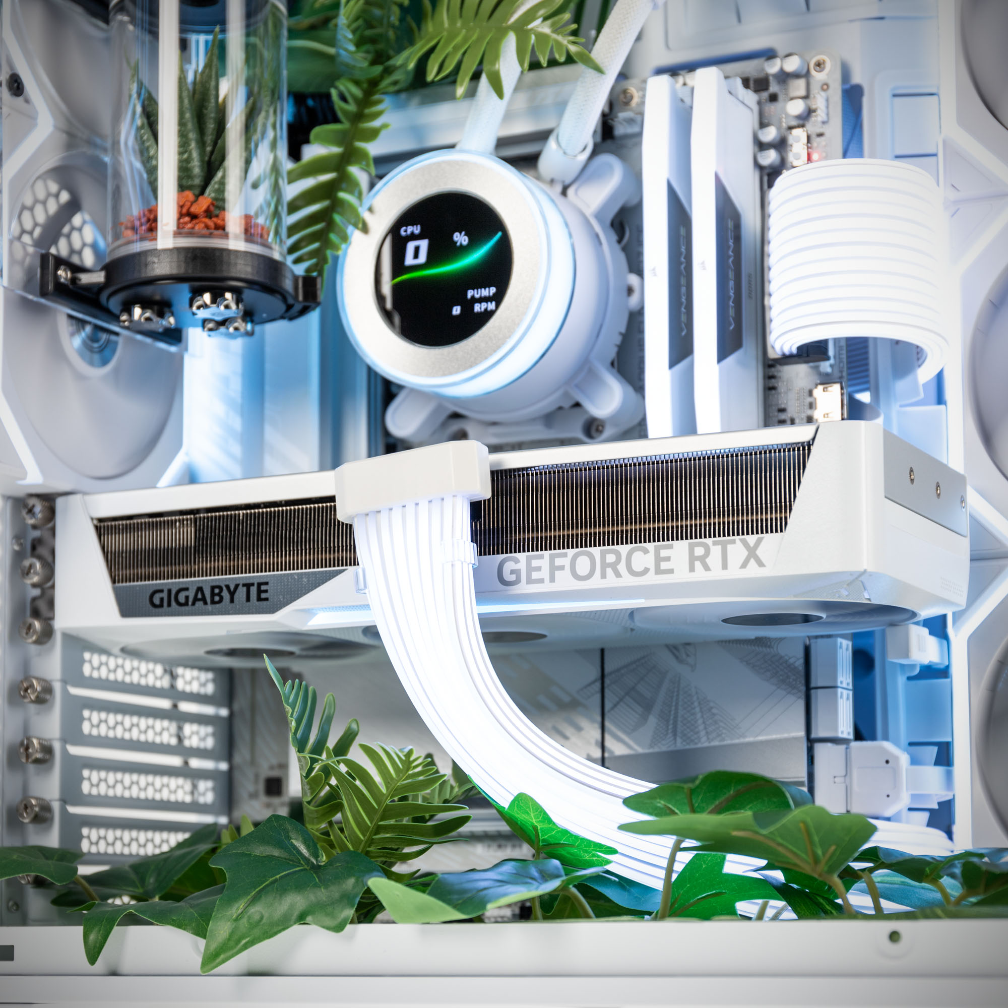 Biotop Pflanzen