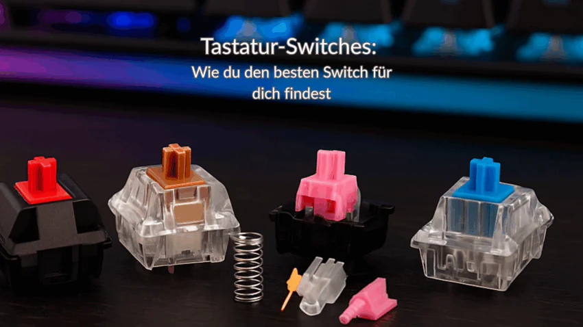 Tastatur Switches Blogbild